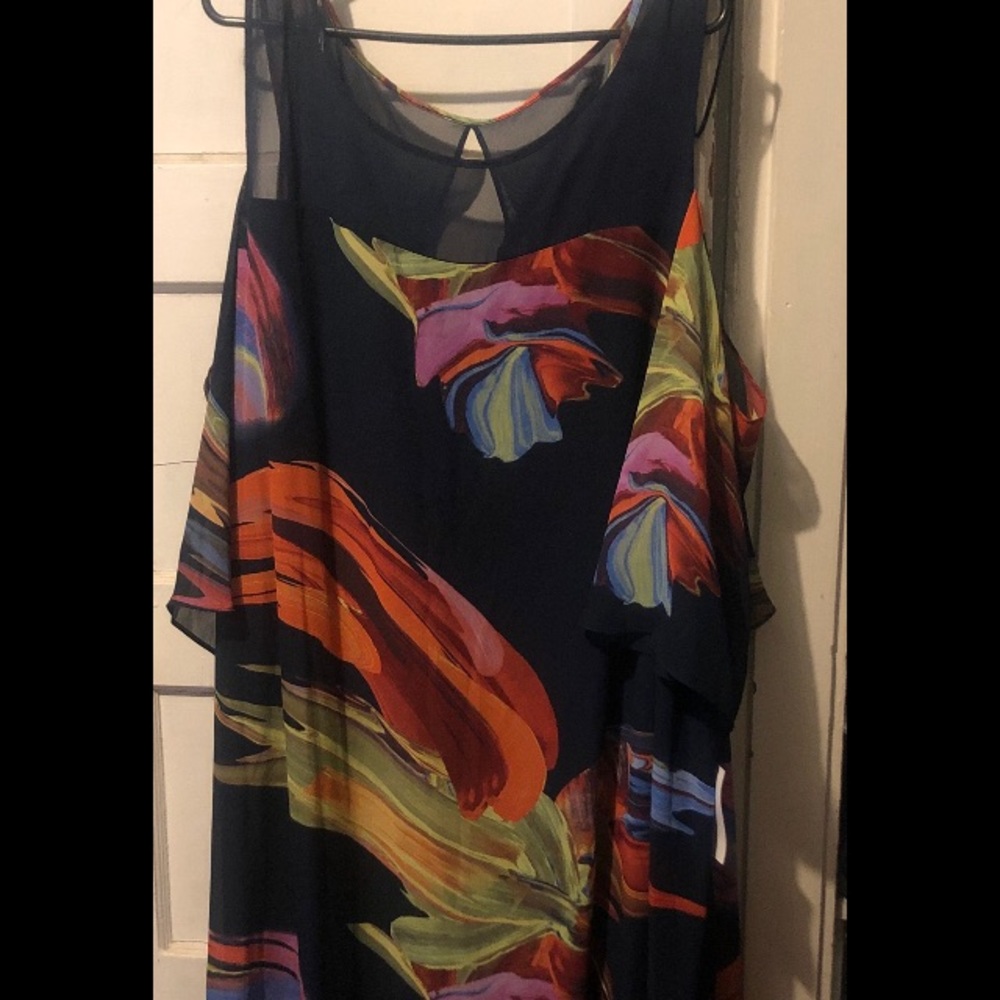 Signature by Robbie bee size 20 women’s dress !